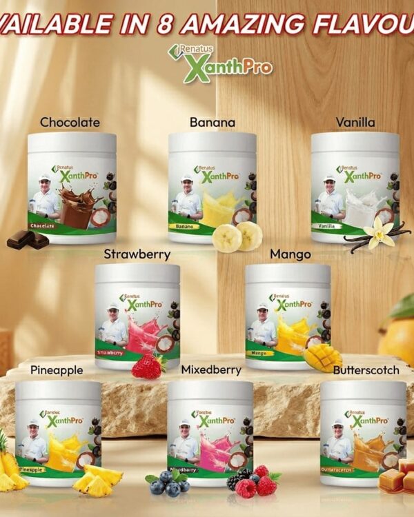 Renatus XanthPro protein nutritional drink mix displayed in eight delicious flavours including Chocolate, Banana, Vanilla, Strawberry, Mango, Pineapple, Mixed Berry, and Butterscotch.