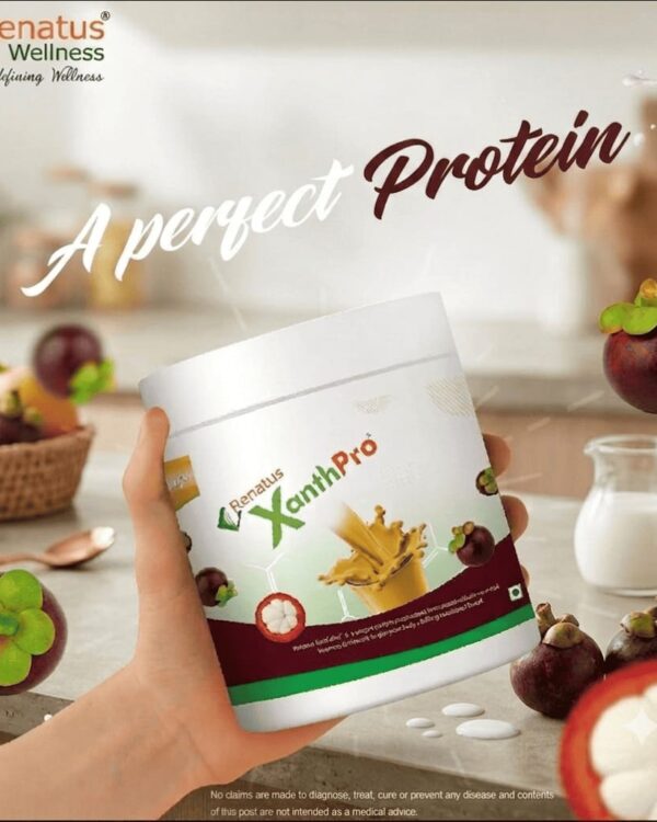 Protein Shake Mixed berry